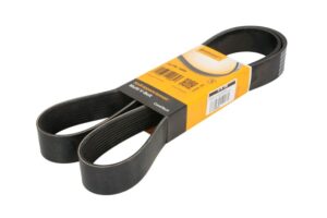 10 PK 1494, Poly V-riem